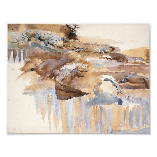 John Singer Sargent – アリゲーター フォトプリント (正面)