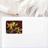 John Singer Sargent – イチジクの勉強 ラベル (インサイチュ)