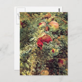 John Singer Sargent:ザクロ ポストカード (正面/裏面)