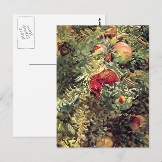 John Singer Sargent：ザクロ ポストカード (正面/裏面)