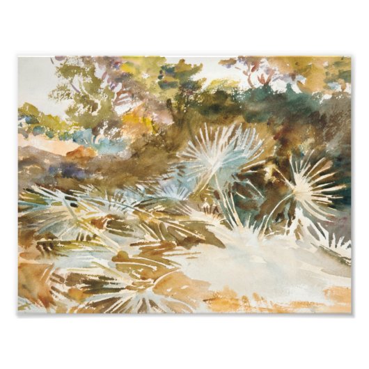 John Singer Sargent - Landscape with Palmettos フォトプリント (正面)