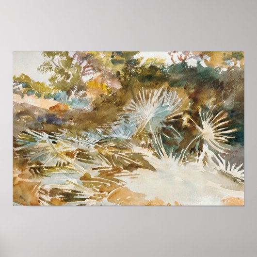 John Singer Sargent - Landscape with Palmettos ポスター (正面)