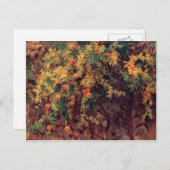 John Singer Sargent - Pomegranates ポストカード (正面/裏面)