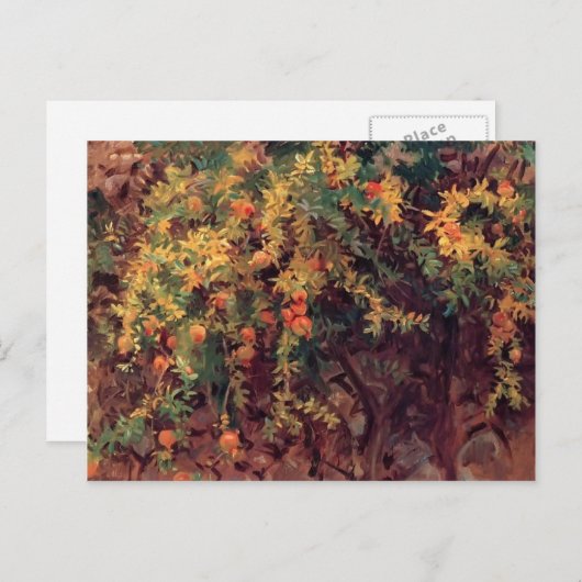 John Singer Sargent - Pomegranates ポストカード (正面/裏面)