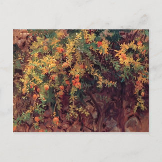 John Singer Sargent - Pomegranates ポストカード