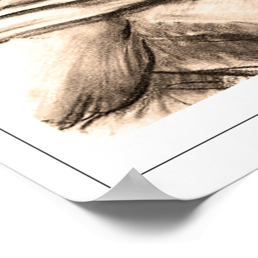 John Singer Sargent Zeding Art Poster #281-2 ポスター (角)