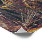 John William Waterhouse The Lady Of Shalott ポスター (角)