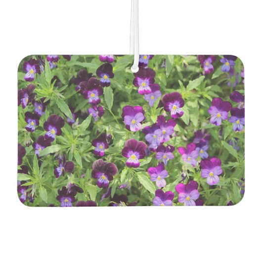 Johnny Pop Ups カーエアーフレッシュナー (正面)