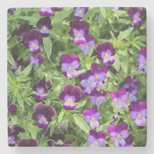 Johnny Pop Ups ストーンコースター (正面)