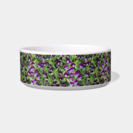 Johnny Pop Ups Pet Bowl ボウル