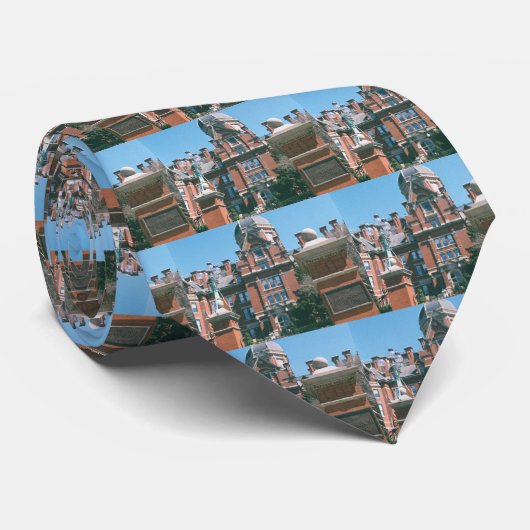 Johns Hopkinsの病院のタイ ネクタイ (ロール)