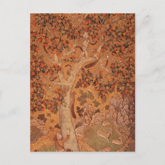 Johnson Album I, No.30 Squirrels on a飛行機 ポストカード (正面)