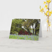 Johnson City、テキサス州の春のBluebonnets カード (黄色い花)