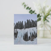Johnston Canyon Postcard シーズンポストカード (スタンド正面)