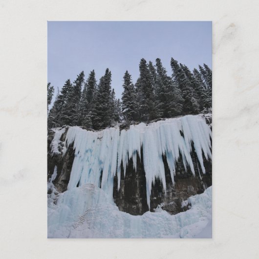 Johnston Canyon Postcard シーズンポストカード (正面)