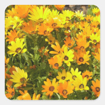 Joie de Vivre (1)ステッカー