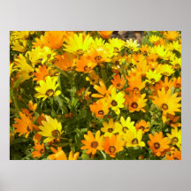 Joie de Vivre (1)ポスター