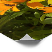 Joie de Vivre (1)ポスター ポスター (角)