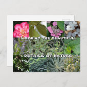 joie texte fleur feuille vert jardin printemps ポストカード (正面/裏面)