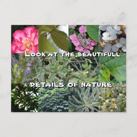 joie texte fleur feuille vert jardin printemps ポストカード (正面)