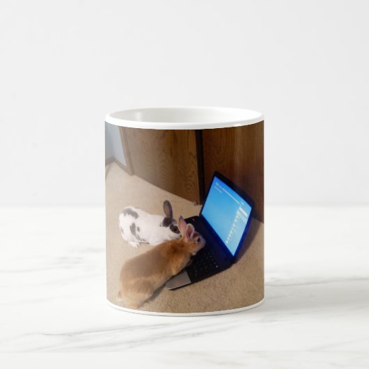 JokeApptv Tm著くもの巣のウサギ コーヒーマグカップ (中央)