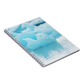 Jökulsárlónのアジサシ ノートブック (右側)