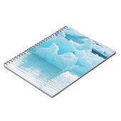 Jökulsárlónのアジサシ ノートブック (左側)