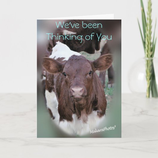 JolCrd-GetWellはまたは悔やみや弔慰カスタマイズ カード (正面)