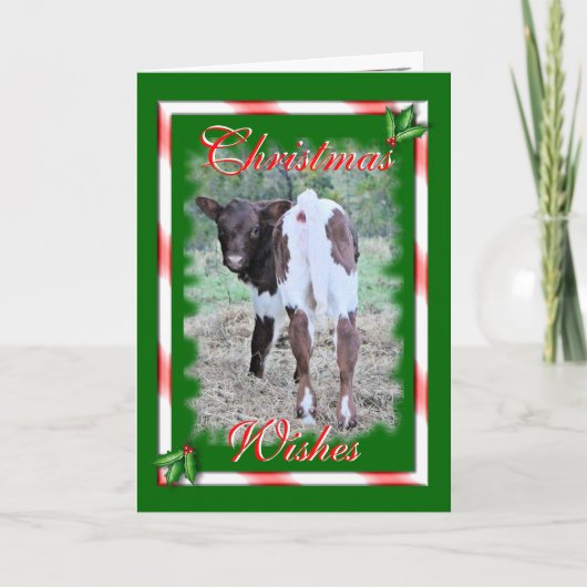 JoleeChristmasカスタマイズ シーズンカード (正面)