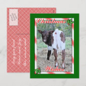 JoleeChristmasPcardカスタマイズ シーズンポストカード (正面/裏面)