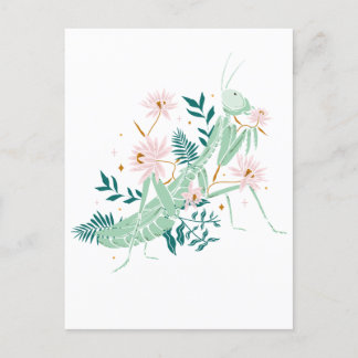 JOLIE SAUTERELLE ポストカード