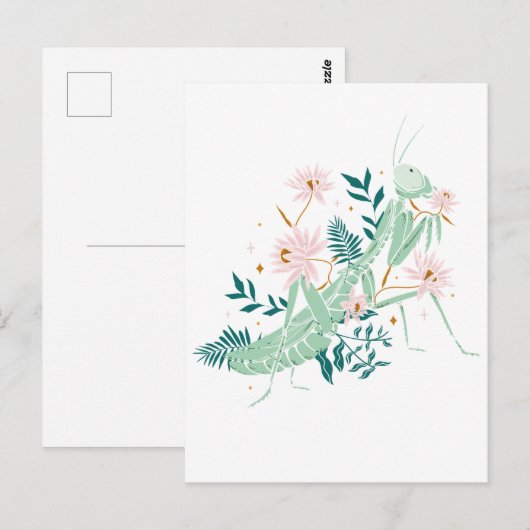 JOLIE SAUTERELLE ポストカード (正面/裏面)