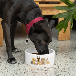 JollyKins Dogs & Cats ボウル