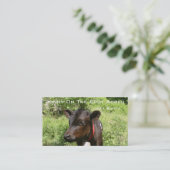 Jonnyのその場でエーカー 名刺 (スタンド正面)