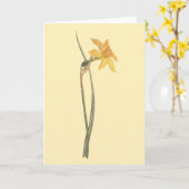 Jonquilのラッパスイセンの黄色の花のイラストレーション カード (黄色い花)