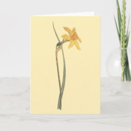Jonquilのラッパスイセンの黄色の花のイラストレーション カード