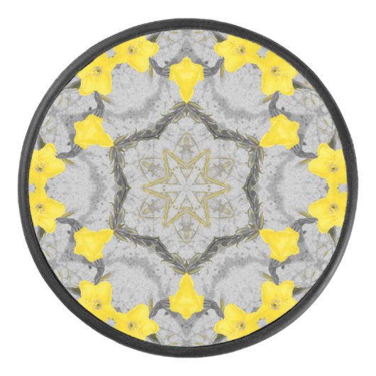 Jonquil Harmony Wheel アイスホッケーパック (正面)