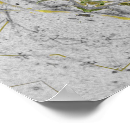 Jonquil Harmony Wheel ポスター (角)