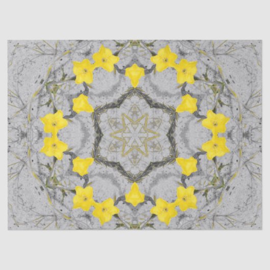 Jonquil Harmony Wheel  薄葉紙 (正面)