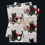 Joon The Rescue Kitten - Christmas Wrapping紙 ラッピングペーパーシート<br><div class="desc">Joon The Rescue Kitten - Christmas Wrapping紙</div>