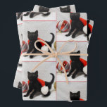Joon The Rescue Kitten - Christmas Wrapping紙 ラッピングペーパーシート<br><div class="desc">Joon The Rescue Kitten - Christmas Wrapping紙</div>