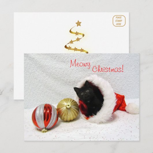 Joon's Christmas - Cat /子猫はがき ポストカード (正面/裏面)