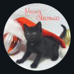 Joon's Christmas - Cat / Kitten Stickers ラウンドシール<br><div class="desc">ジュンは愛らしい救助子猫だ…彼女は小さなことだ – ちょうど8週歳でポンドで！私たちは彼女を肥育に取り組んでいるので、彼女は彼女が運ぶのに十分な量を重くし、彼女は永遠に家を見つけることができる。その間、彼女は写真のためにポーズを取るよりも幸せだ。</div>