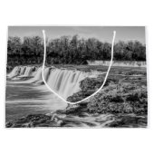 Joplin Grand滝概要グレースケール ラージペーパーバッグ (正面)