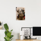 Jordan, Ancient Nabataean city of Petra. Local ポスター (ホームオフィス)