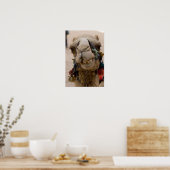 Jordan, Ancient Nabataean city of Petra. Local ポスター (キッチン)