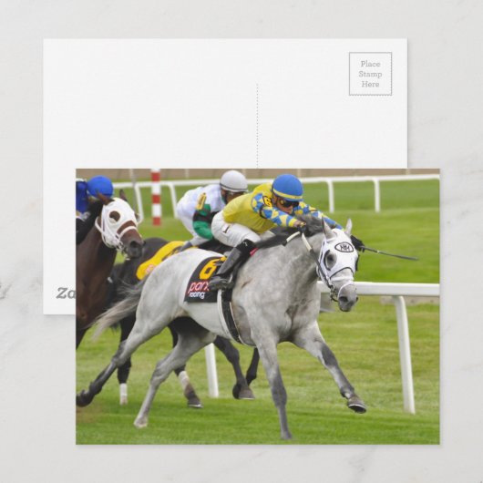 Jose Ortiz on Fast and Accurate ポストカード (正面/裏面)