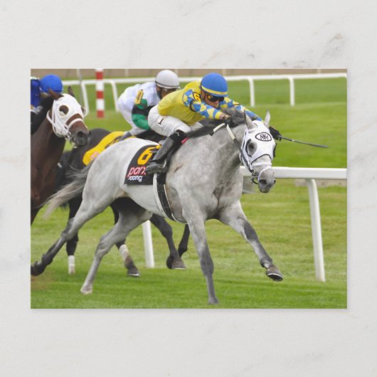 Jose Ortiz on Fast and Accurate ポストカード (正面)