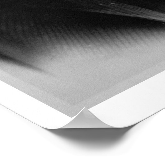 Joseph McCoy (1837-1915) （b/w写真） ポスター (角)