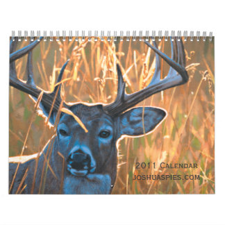 Joshua Spies 2011年暦 カレンダー